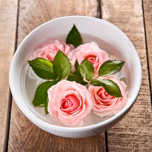 Rosas Rosas<br />
